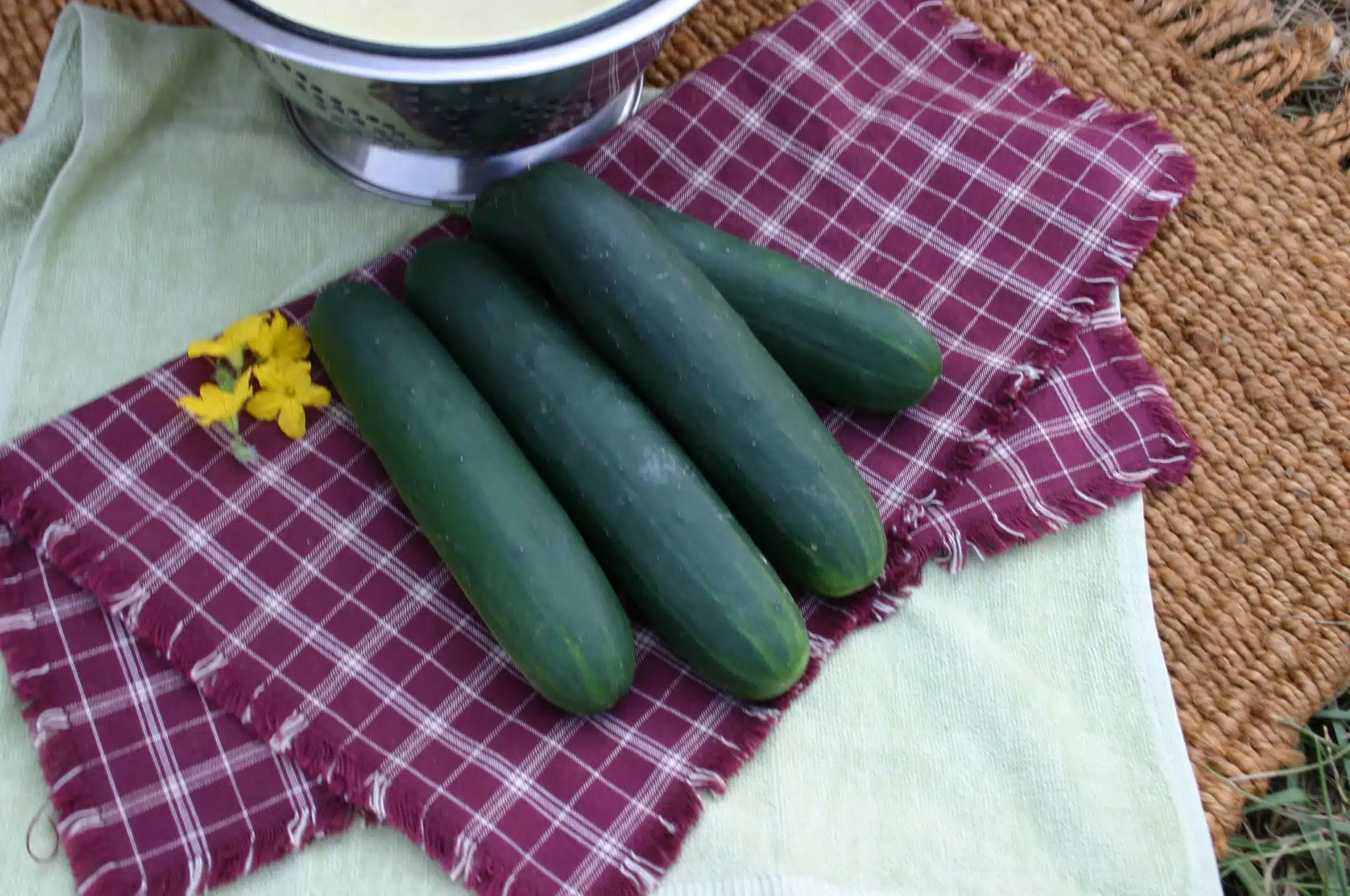 Mamba Cucumber (Not Treated)