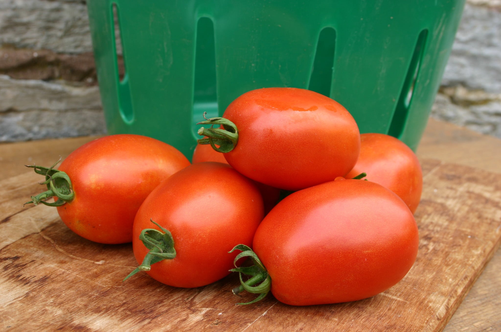 Mariana Tomato (Primed)