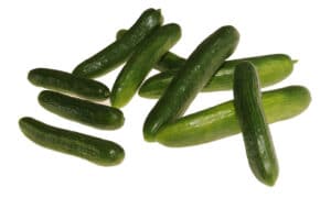 Mercury Cucumber (Treated Seed)