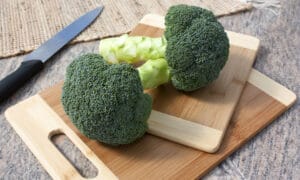 Millennium Broccoli (Not Treated)