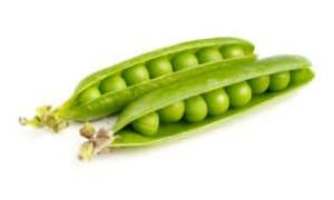 Mr.Big Peas (Treated Seed)