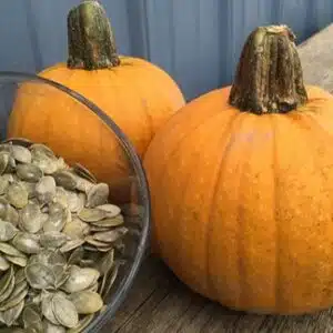 Naked Bear Pumpkin (Treated Seed)