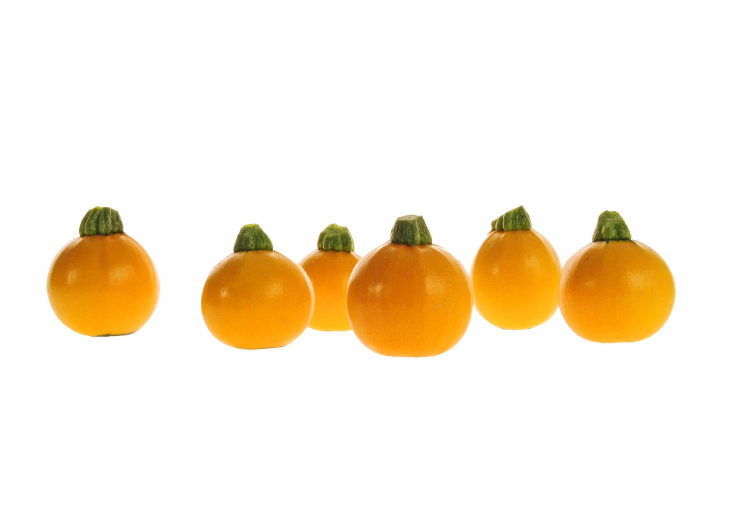 One Ball Squash (Treated Seed)