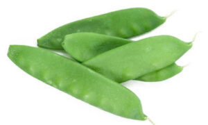 Oregon Sugar Pod II Peas (Not Treated)