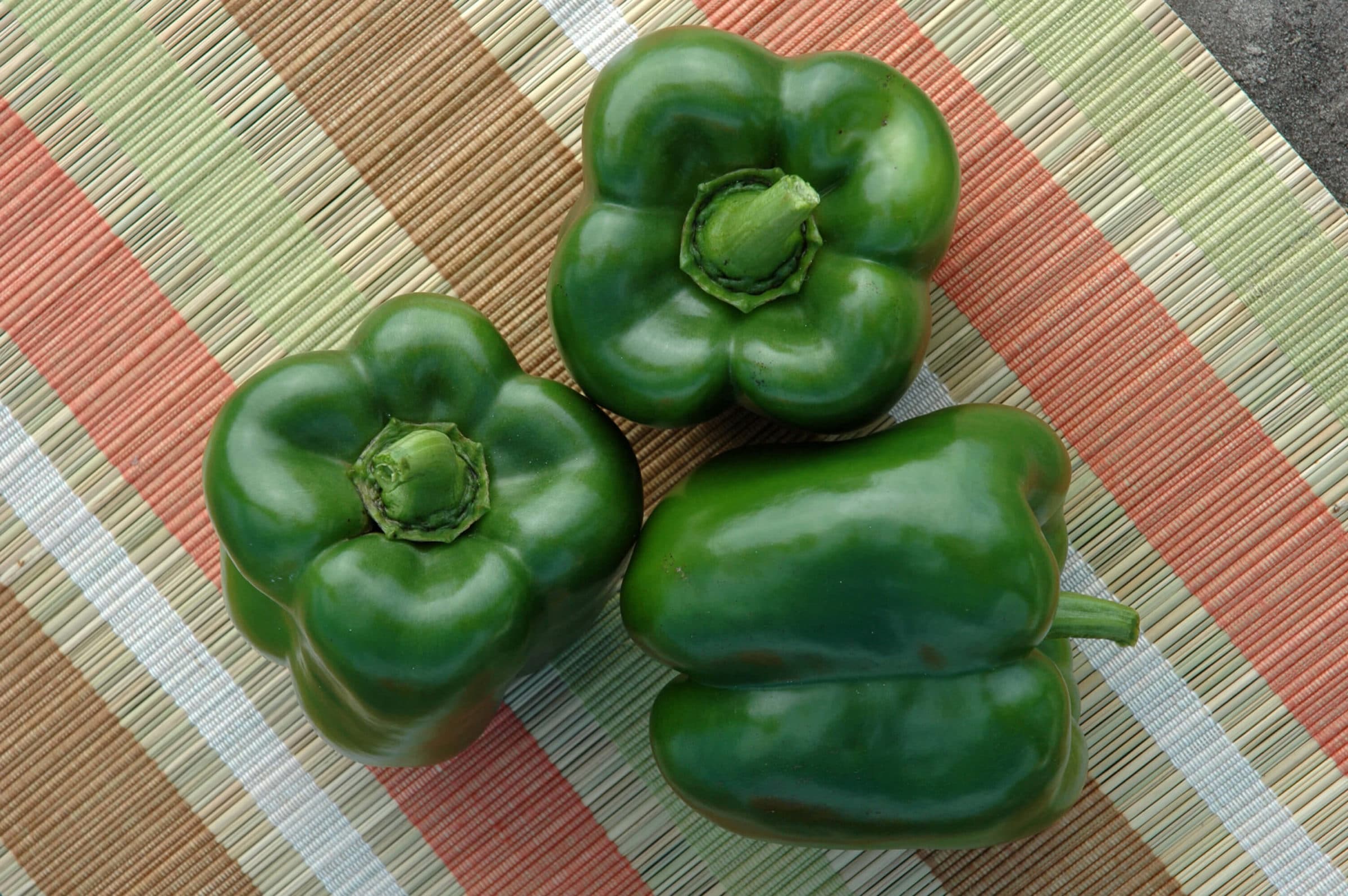 PS 0997-9325 Bell Pepper (Treated Seed)