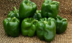 PS 0994-1819 Bell Pepper (Not Treated)