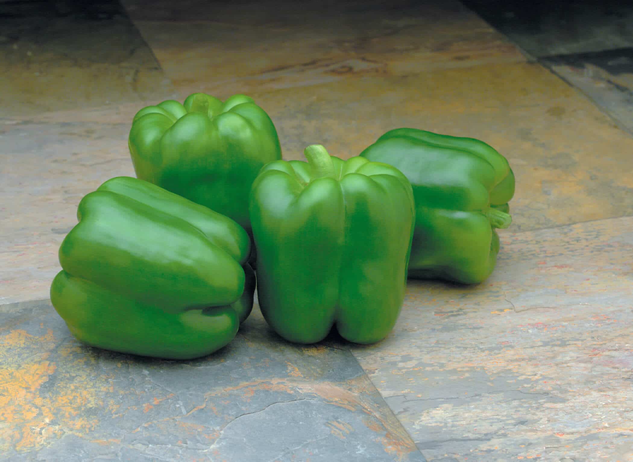 Paladin Bell Pepper (Pelleted)