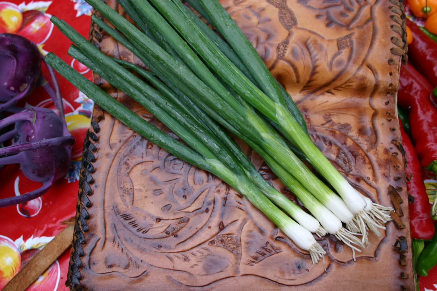Parade Bunching Onion (Organic) - Image 3