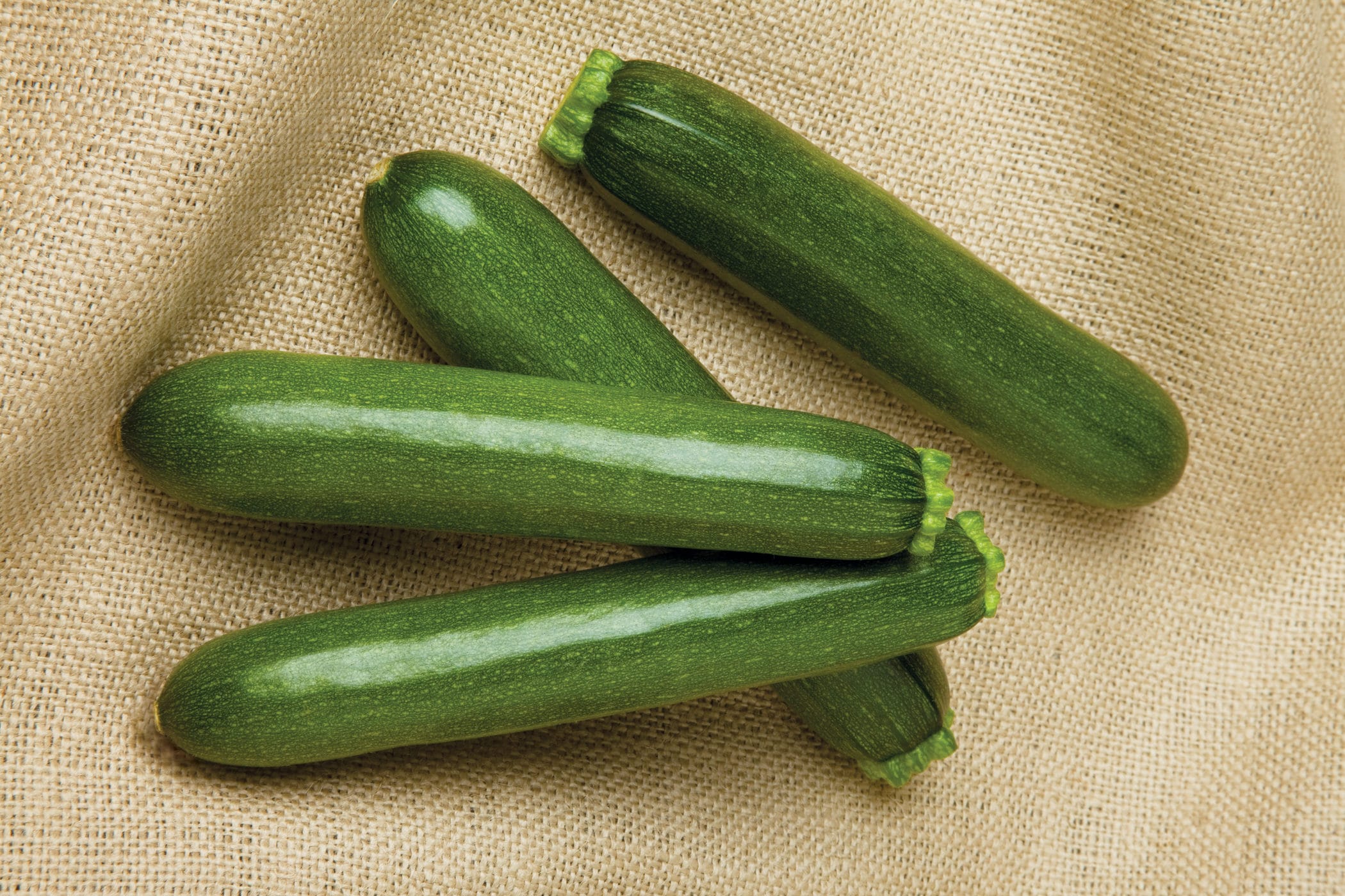 Payload Zucchini (Not Treated)