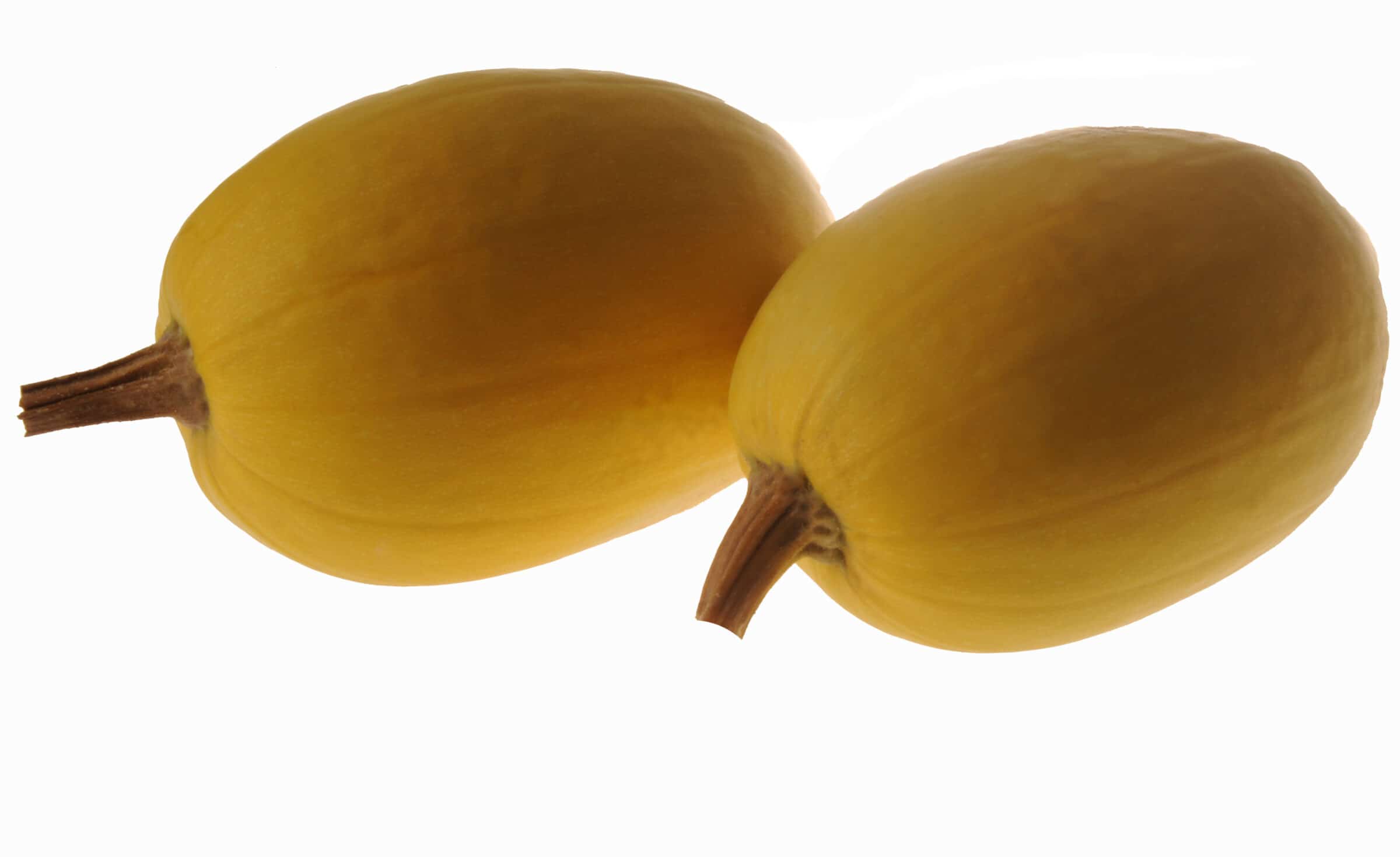 Pinnacle Squash (Treated) - Image 4