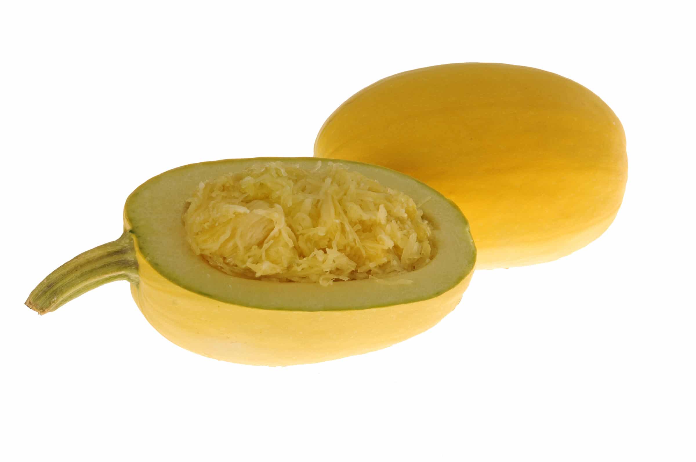 Pinnacle Squash (Treated)