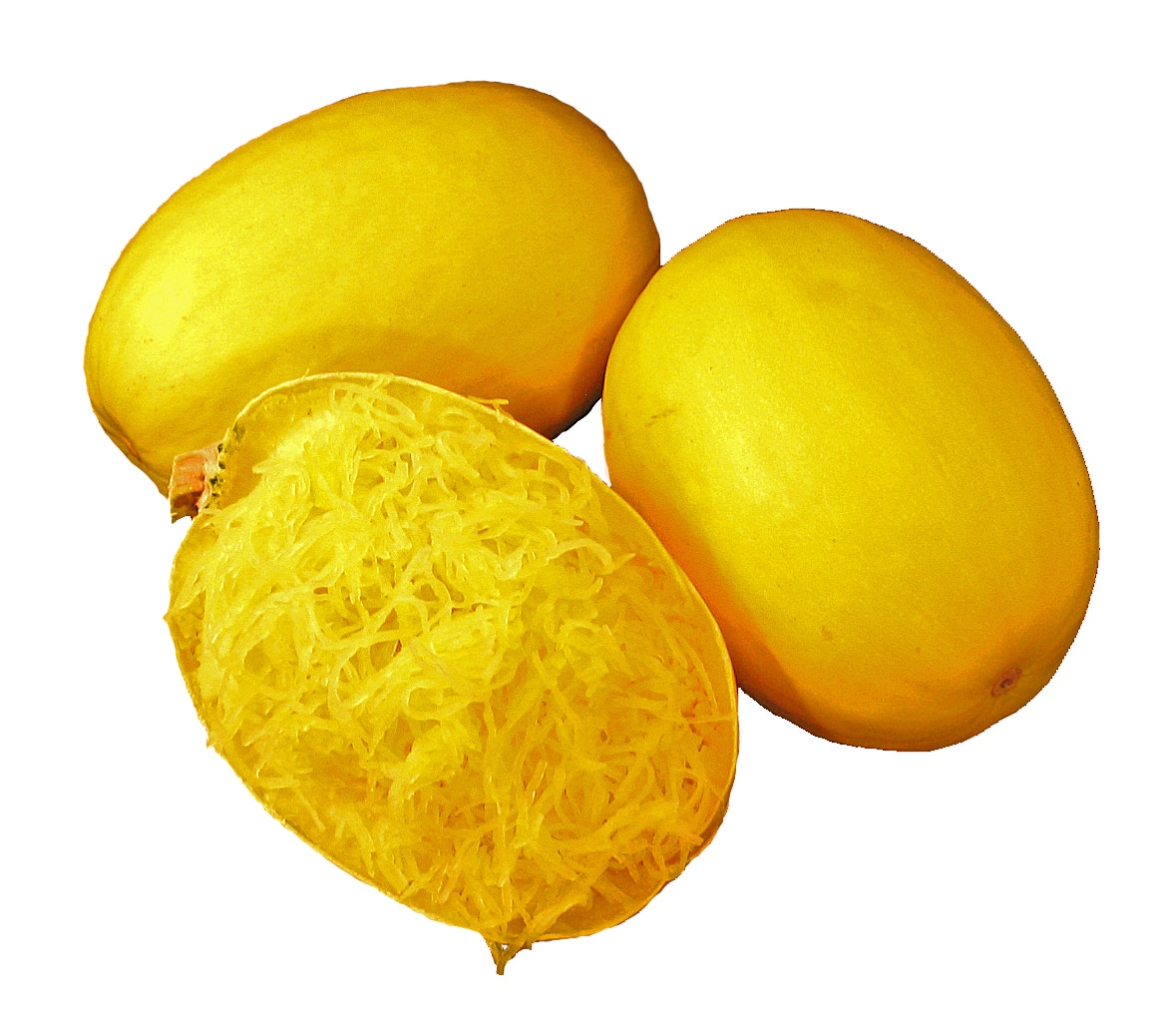 Pinnacle Squash (Treated) - Image 3