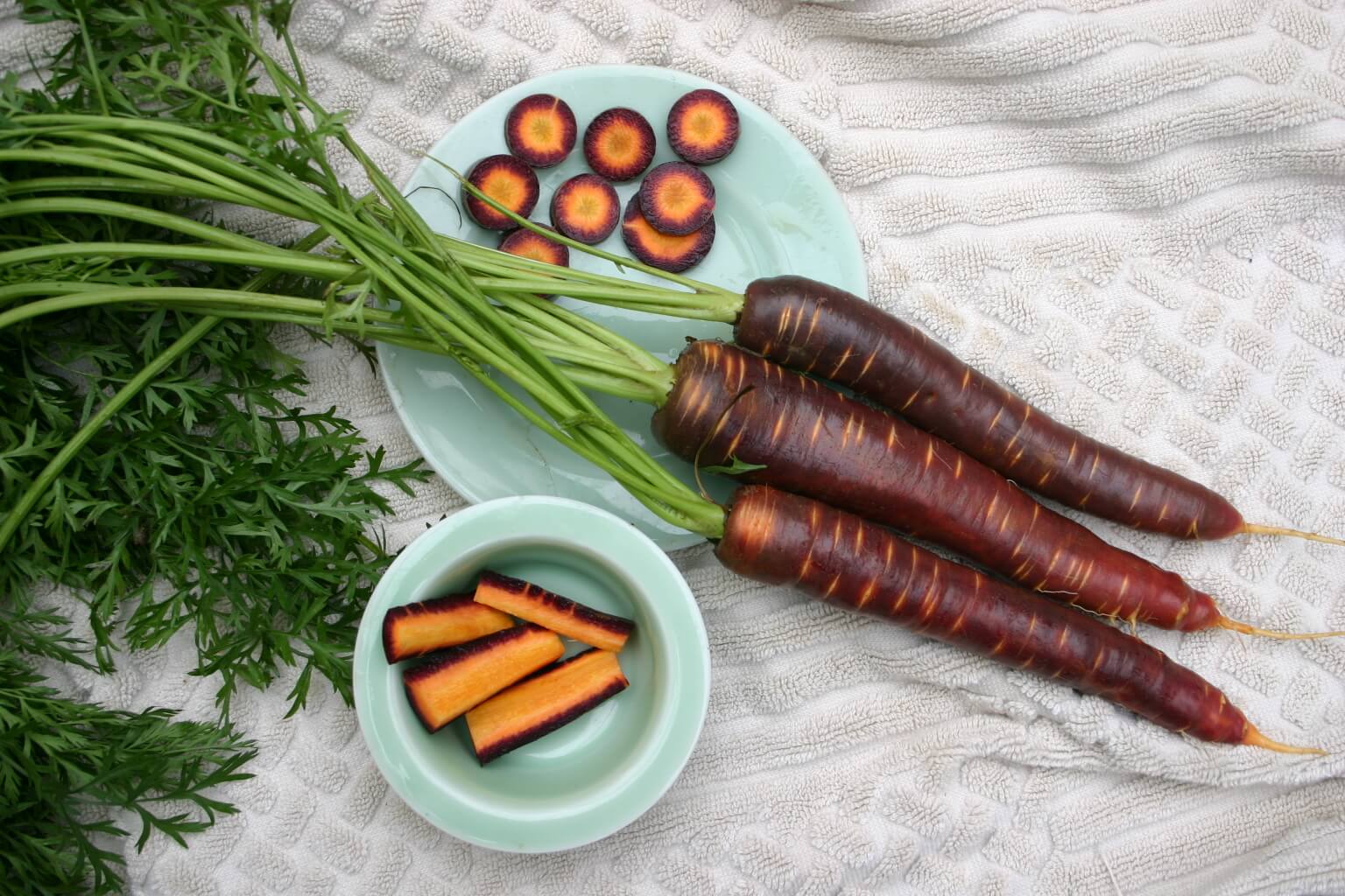 Purple Haze Carrot (Not Treated)