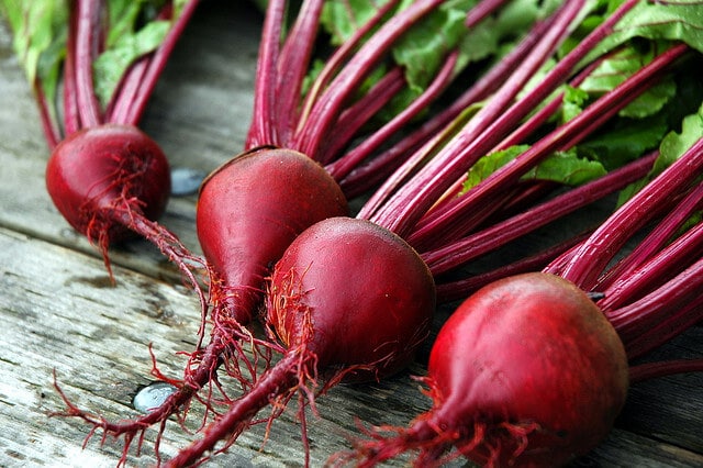 Red Ace Beet (Treated Seeds)