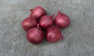 Red Hawk Onion (Pelleted)