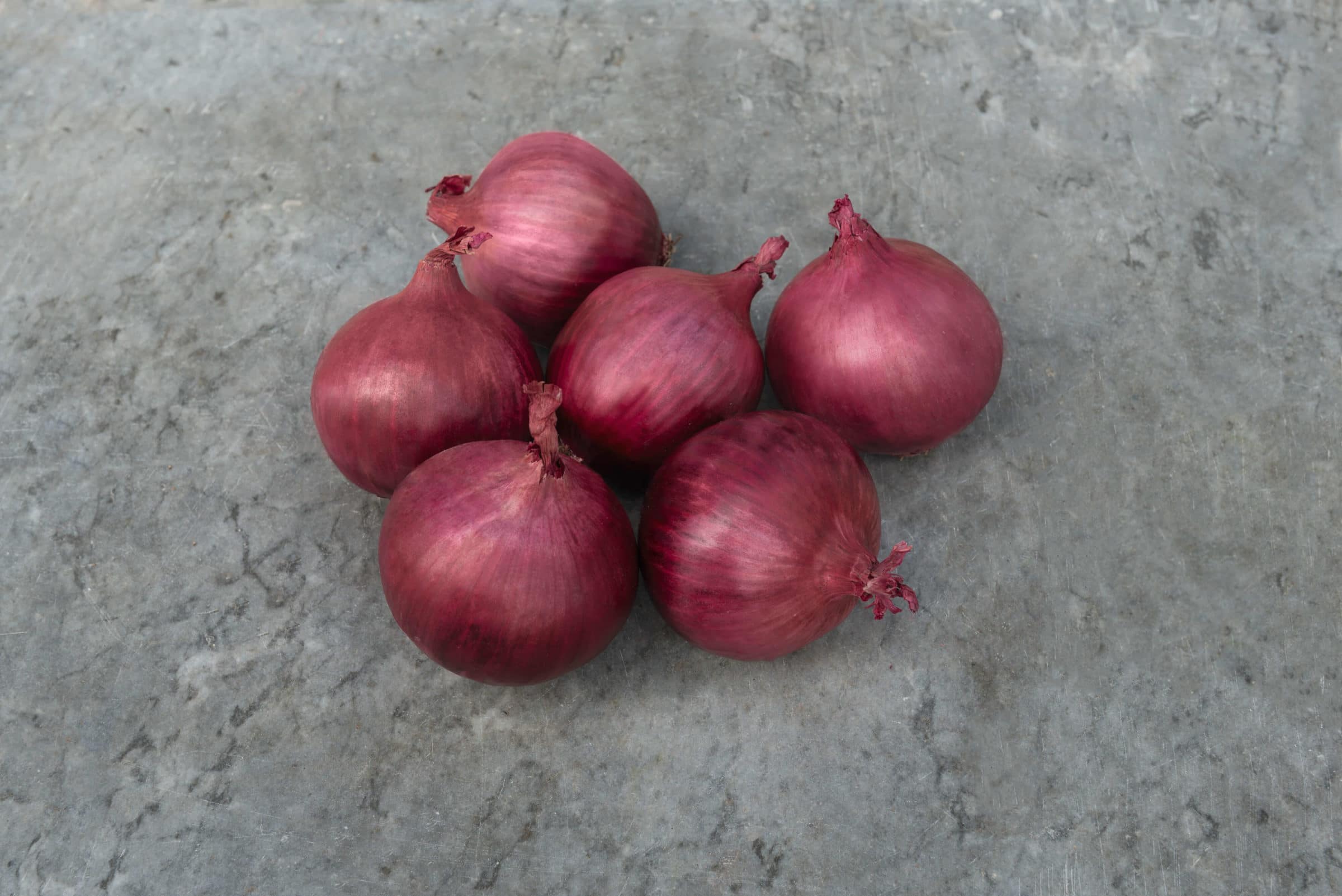Red Hawk Onion (Treated Seed)