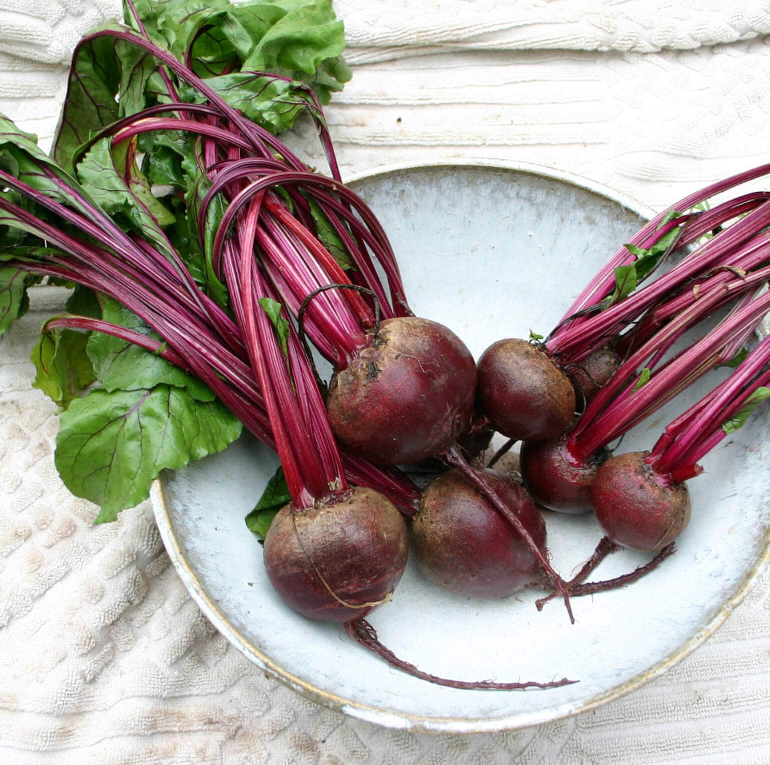 Red Cloud Beet (Not Treated)
