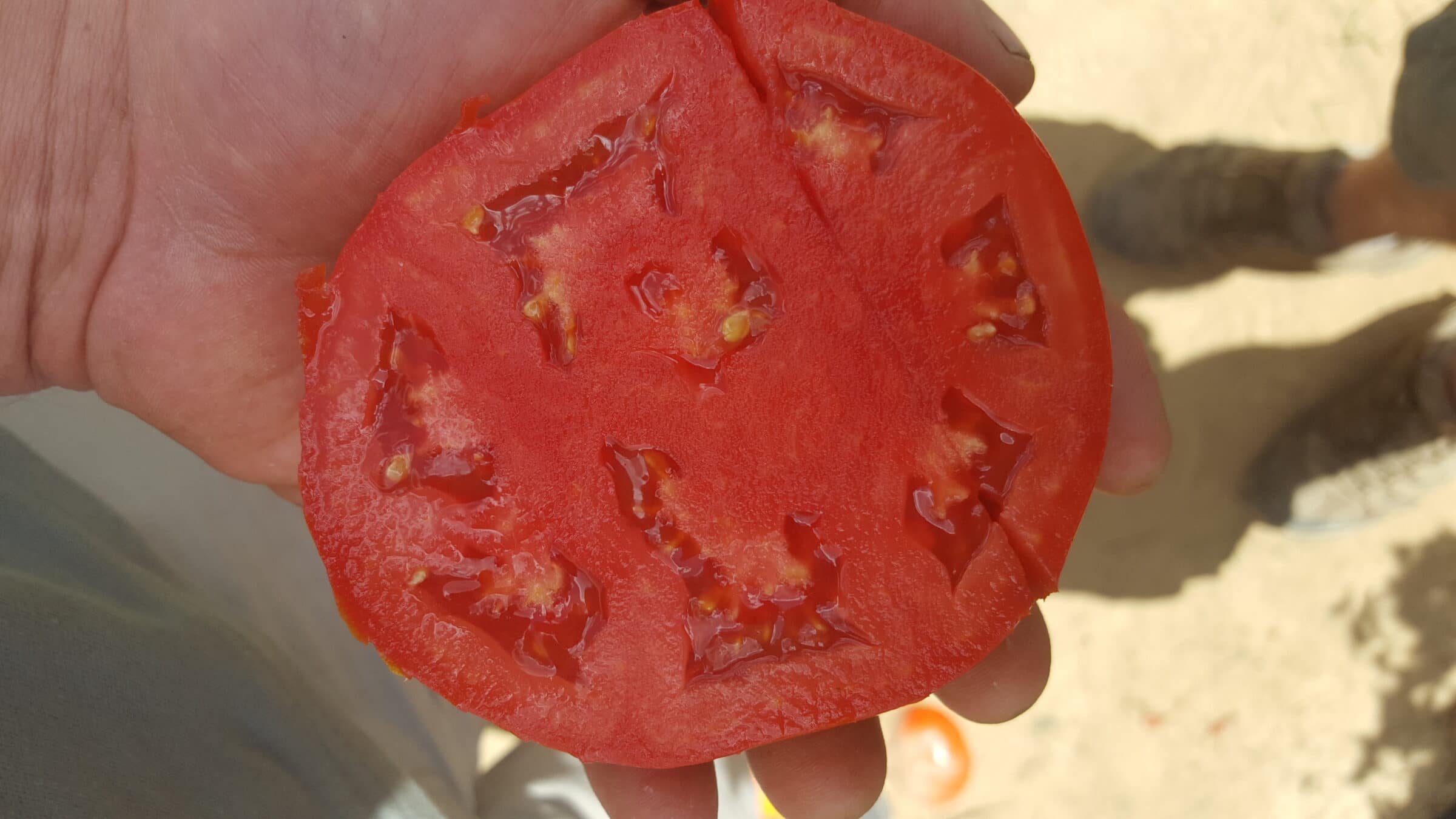 Resolute Tomato (Pelleted) - Image 2