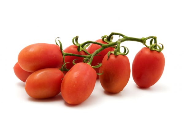 Roma Vf Tomato (Treated Seed)