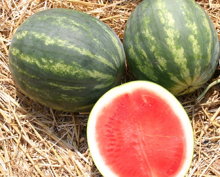 Ruby Watermelon (Not Treated)