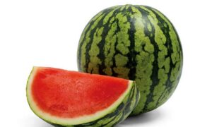 Skyview Watermelon (Treated Seed)