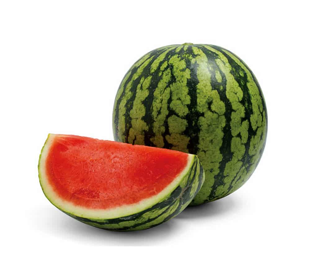 Skyview Watermelon (Treated Seed)