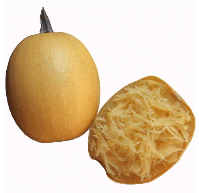 Small Wonder Squash (Treated)