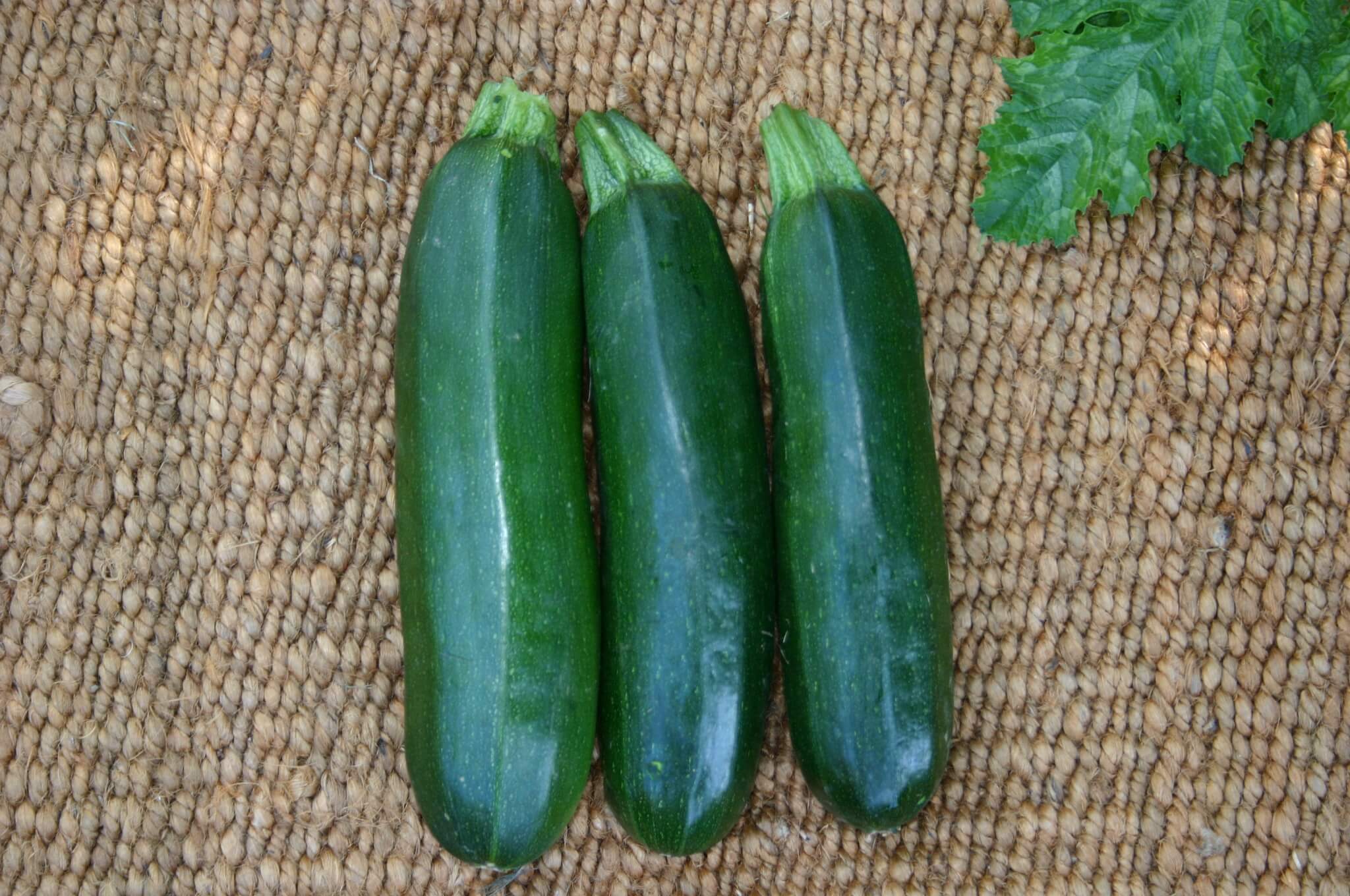 Spineless Beauty Zucchini (Not Treated)