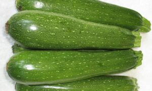 Spineless King Zucchini (Farmore)