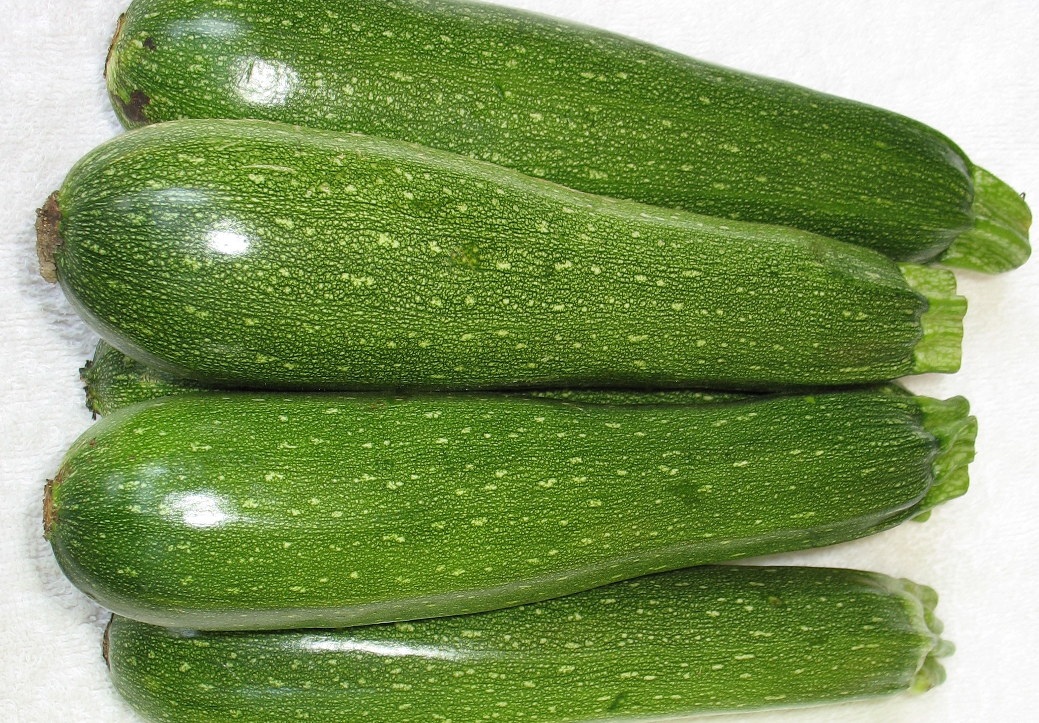Spineless King Zucchini (Farmore)