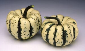 Sweet Dumpling Squash (Farmore)