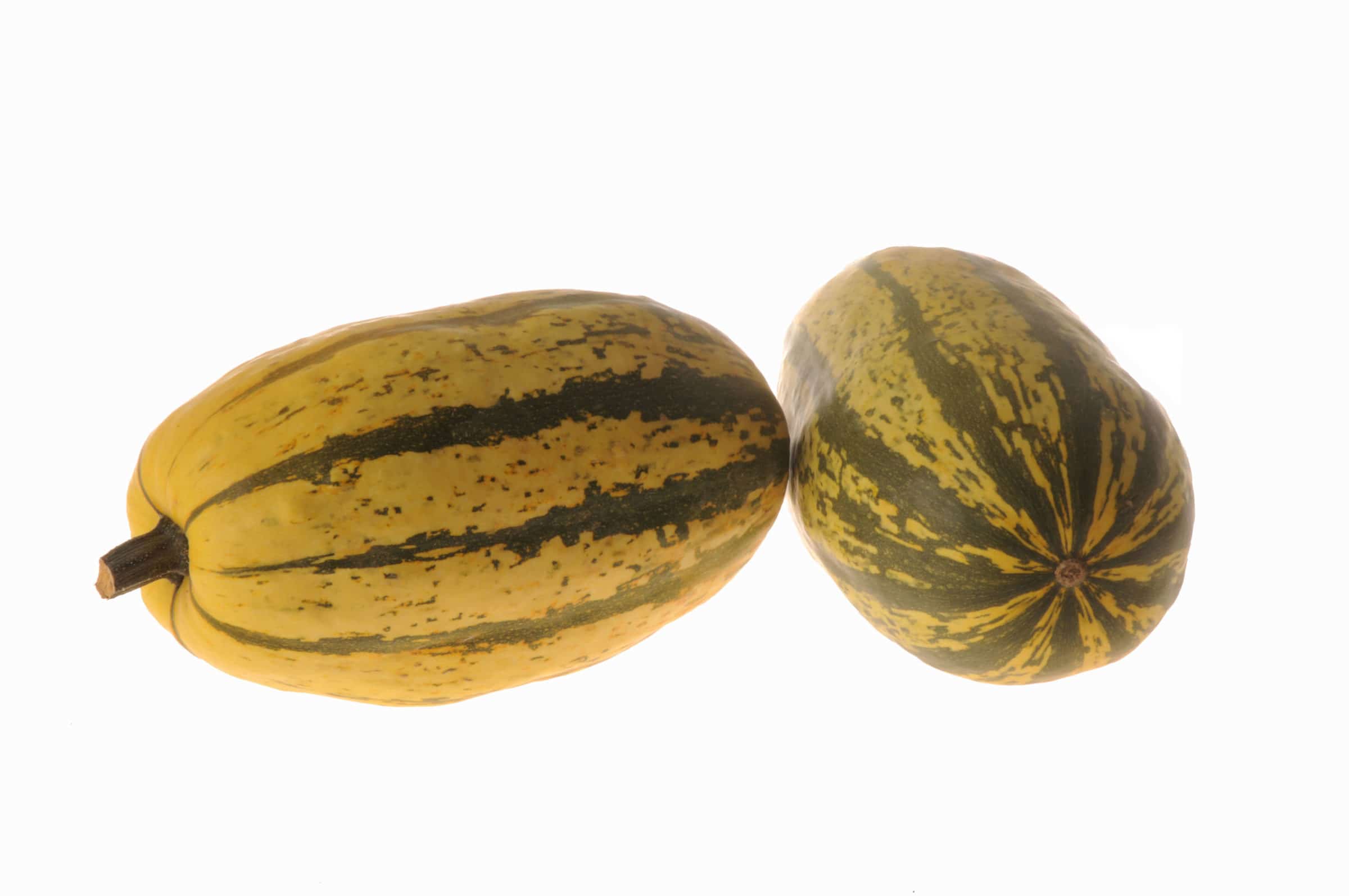 Stripetti Squash (Treated Seed)
