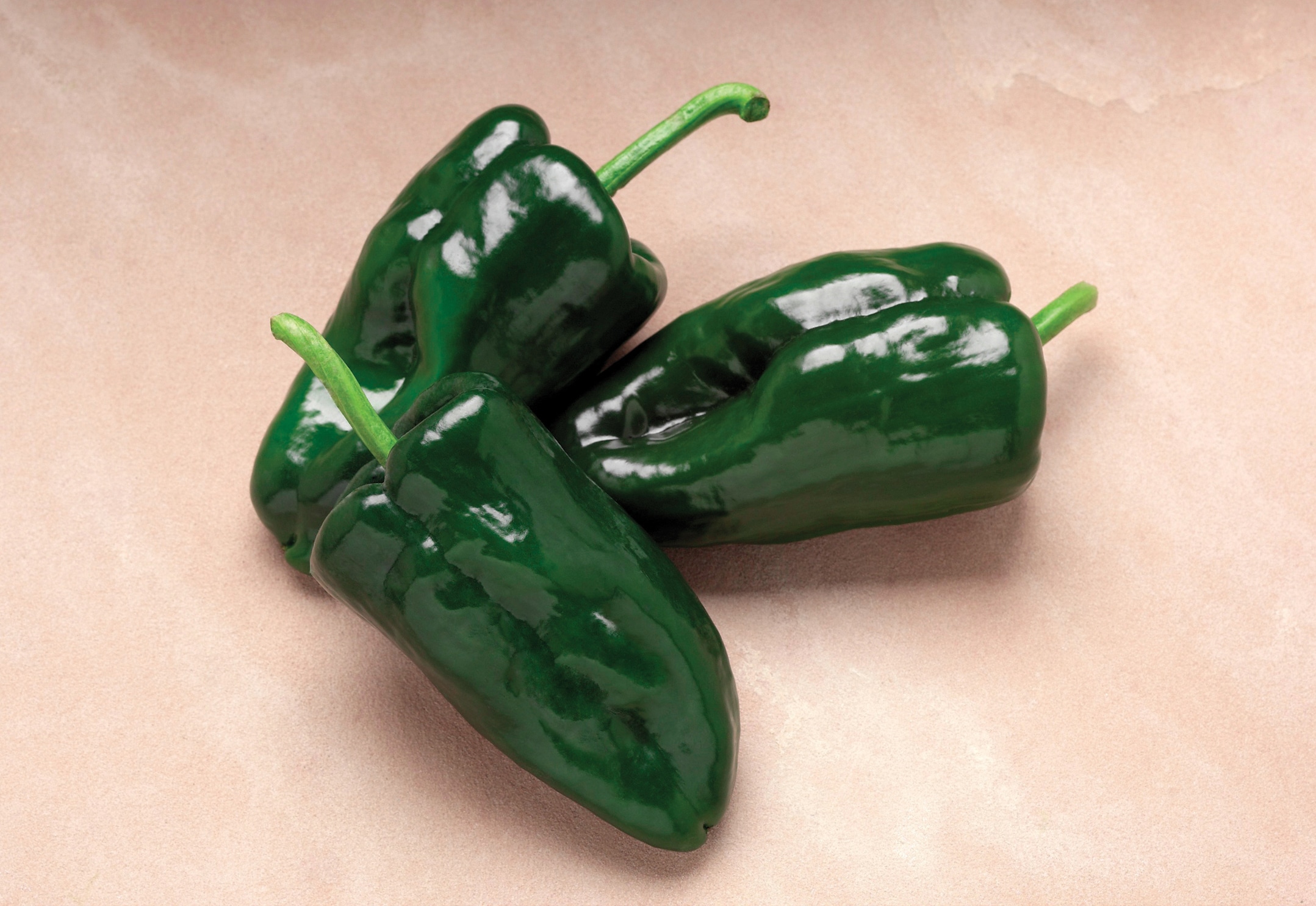 Tiburon Poblano Pepper (Treated Seed)