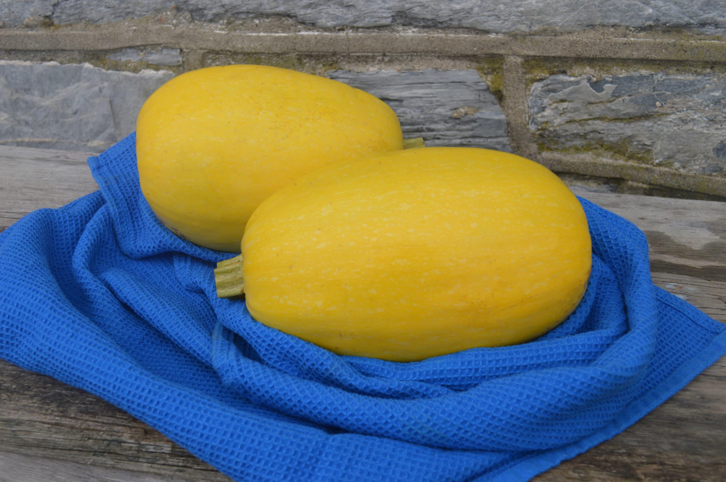 Tivoli Squash (Not Treated)
