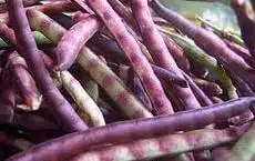 Top Pick Pinkeye Cowpea (Not Treated)
