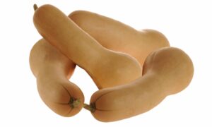 Ultra HP Squash (Not Treated)