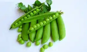 Utrillo Peas (Treated Seed)