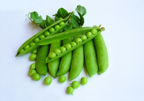 Utrillo Peas (Treated Seed)