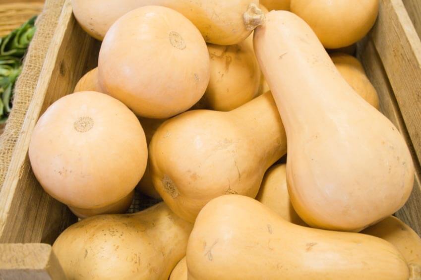 Waltham Butternut Squash (Farmore)