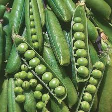 Wando Peas (Treated Seed)