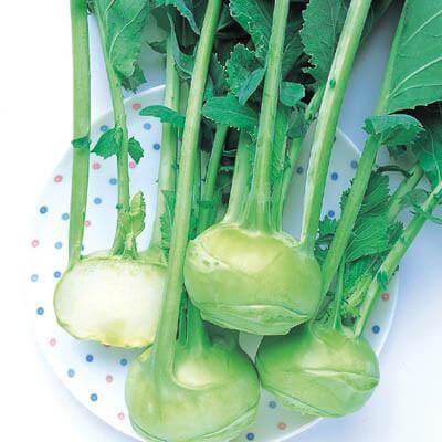 Winner Kohlrabi (Treated Seed)