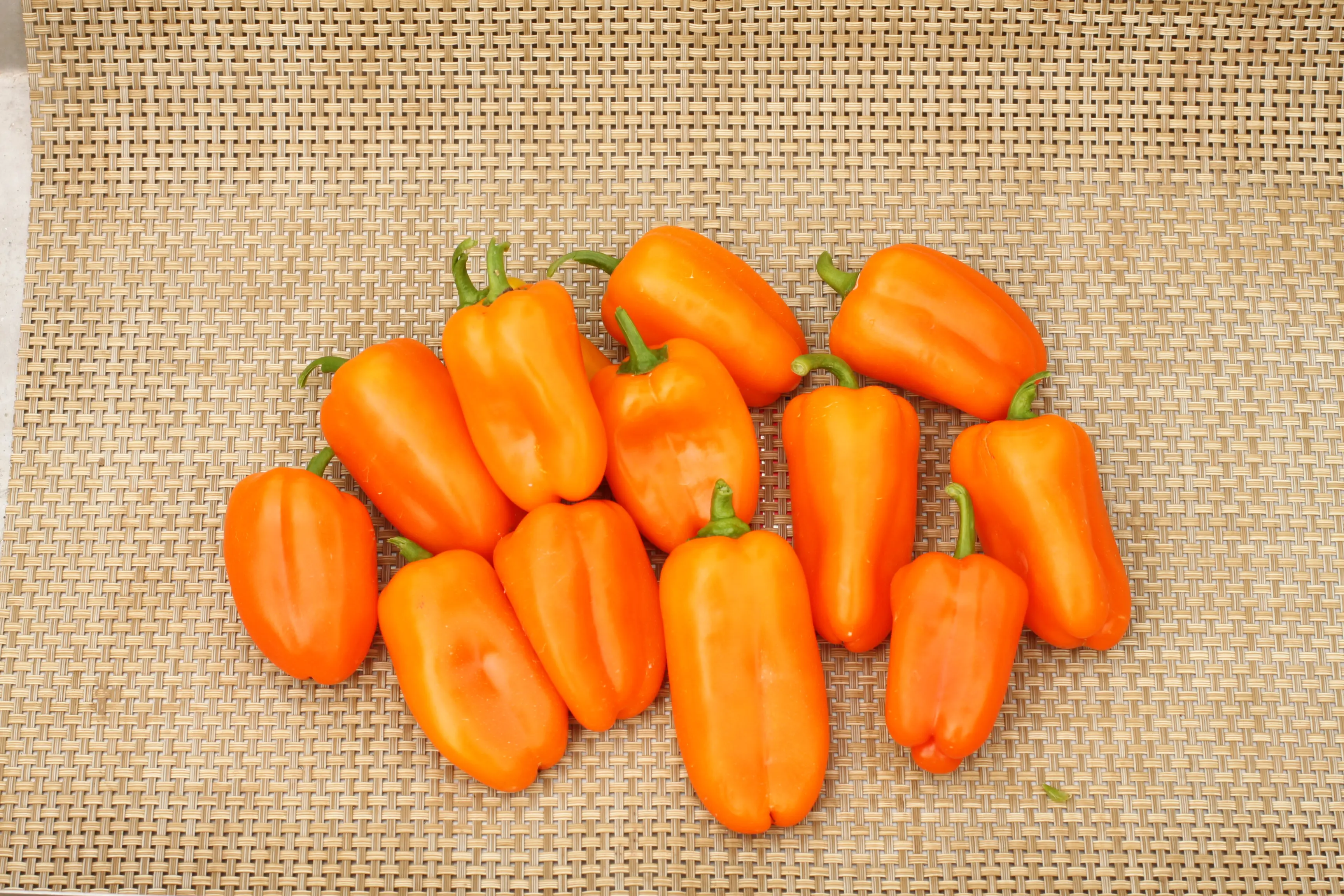 Yummy Orange Sweet Pepper (Not Treated)