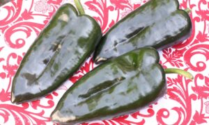Baron Poblano Pepper (Not Treated)