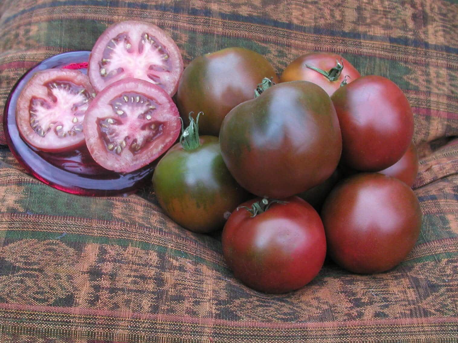 Black Velvet Tomato (Treated Seed)
