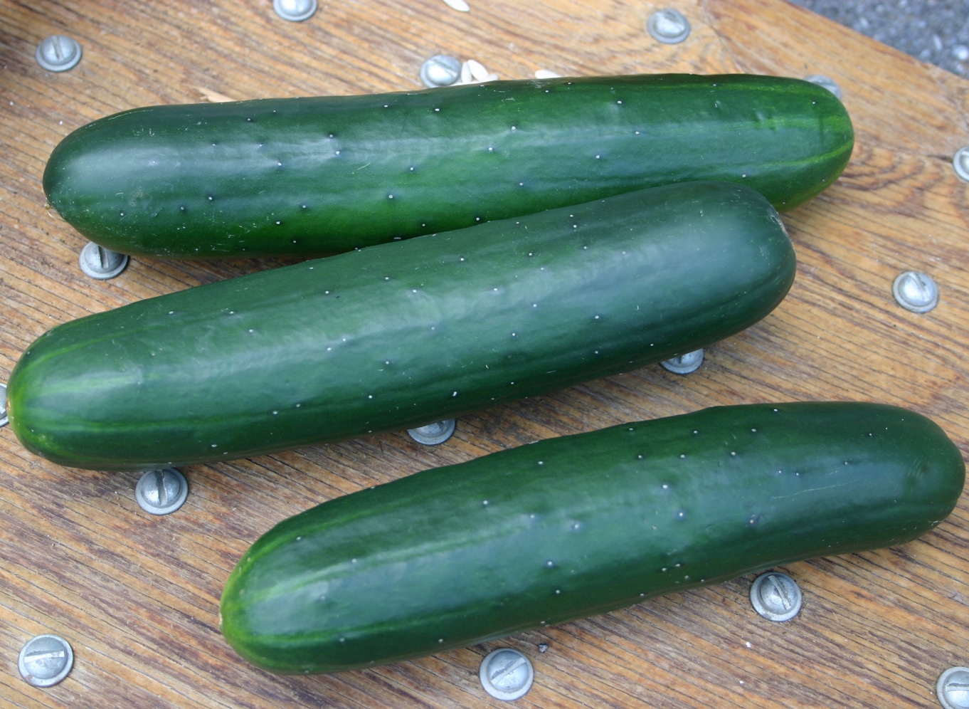 Cobra Cucumber (Not Treated) - Image 2