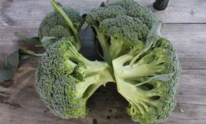 Emerald Crown Broccoli (Not Treated)
