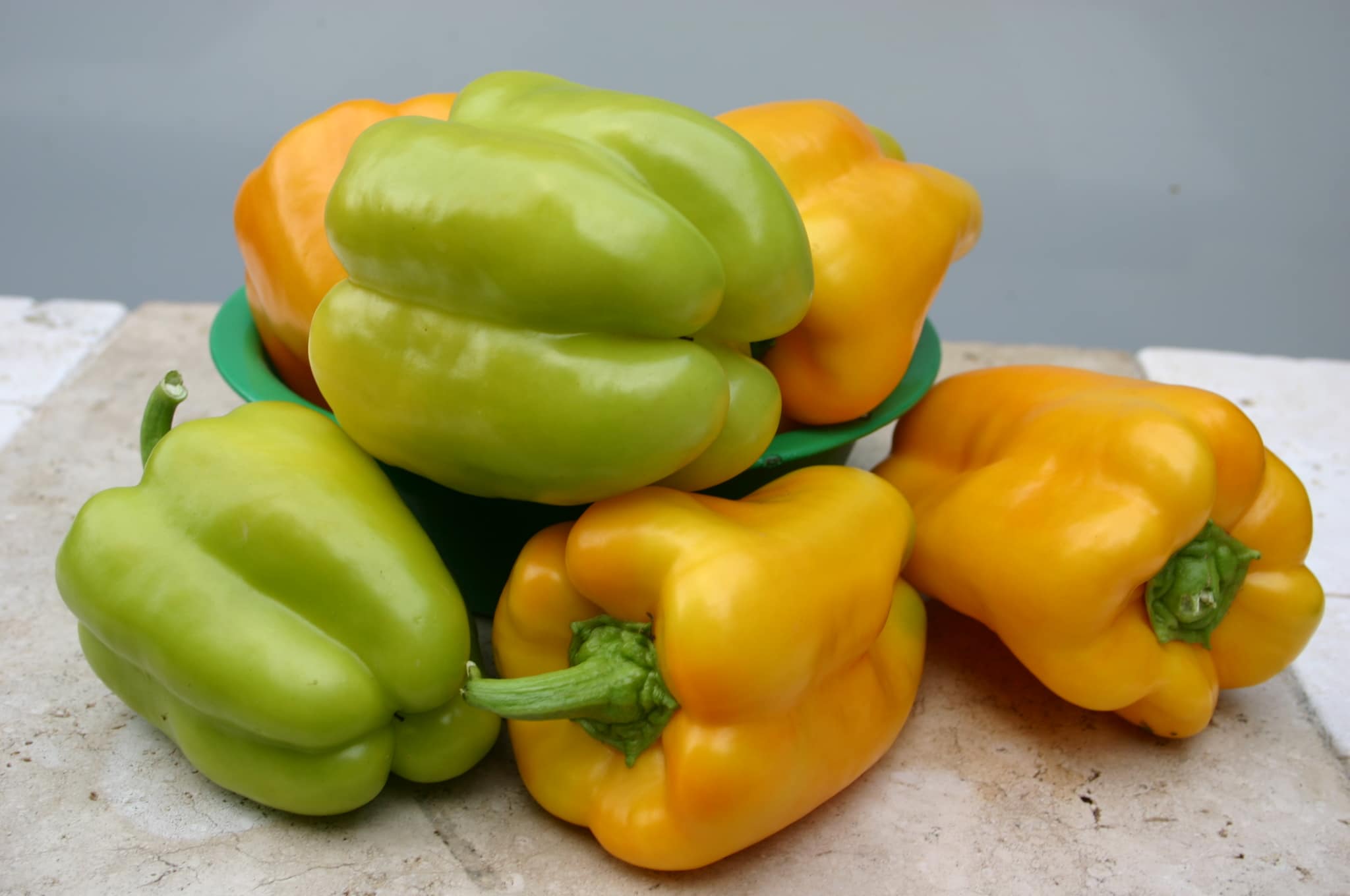 Flavorburst Bell Pepper (Not Treated)