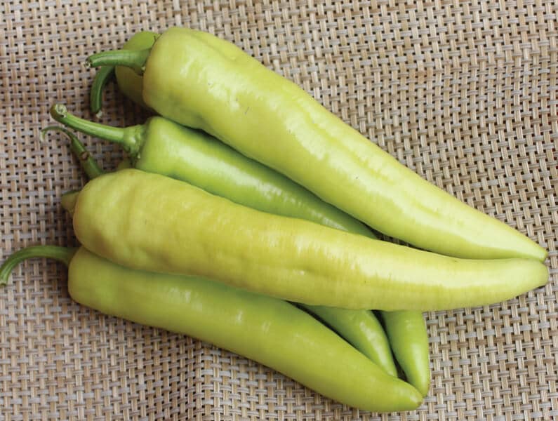 Inferno Banana Pepper (Not Treated)