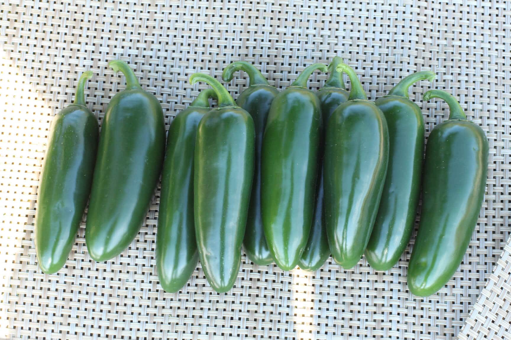 Lexus Jalapeno Pepper (Not Treated)