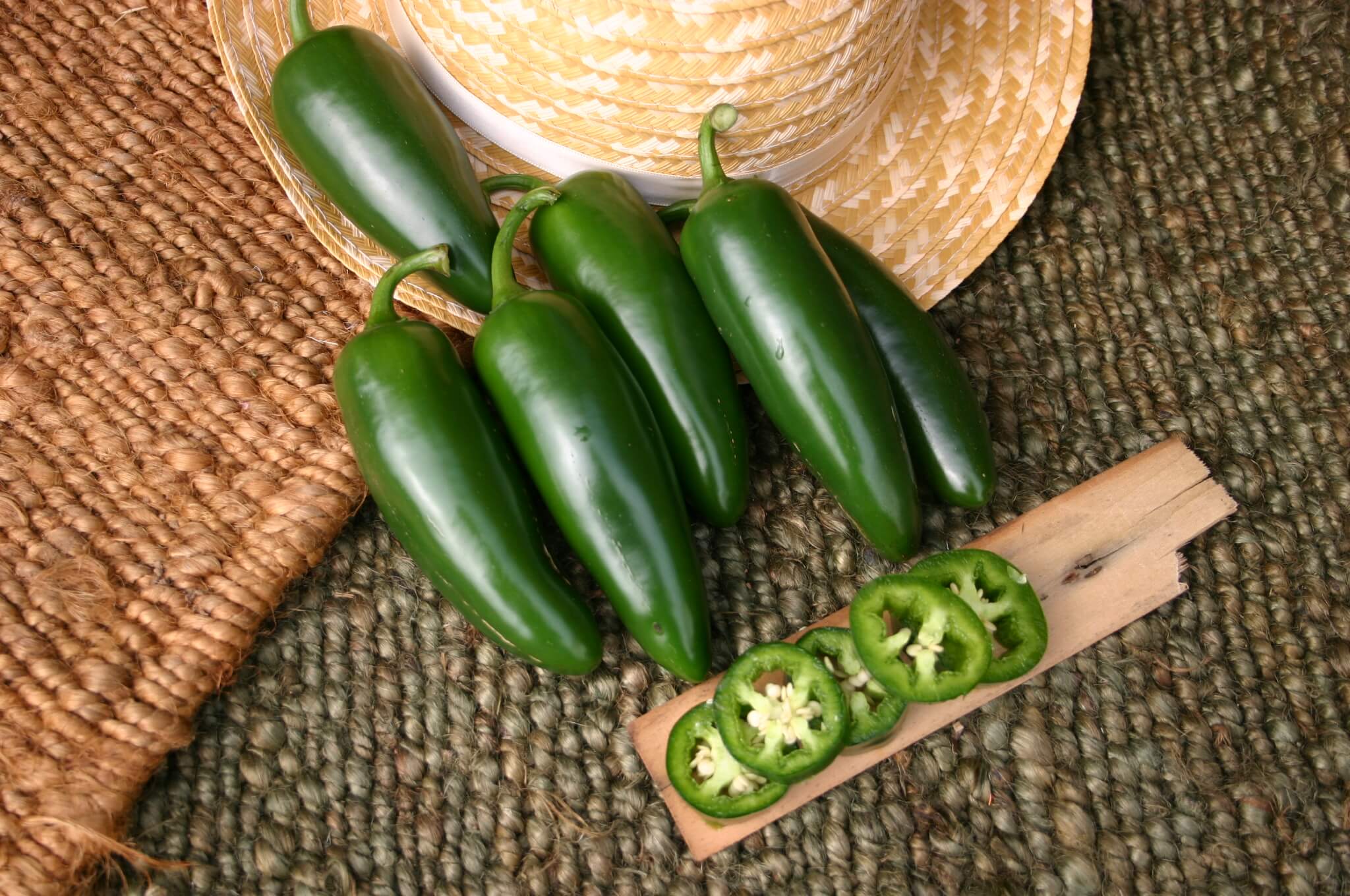 Mammoth Jalapeno (Treated Seed)